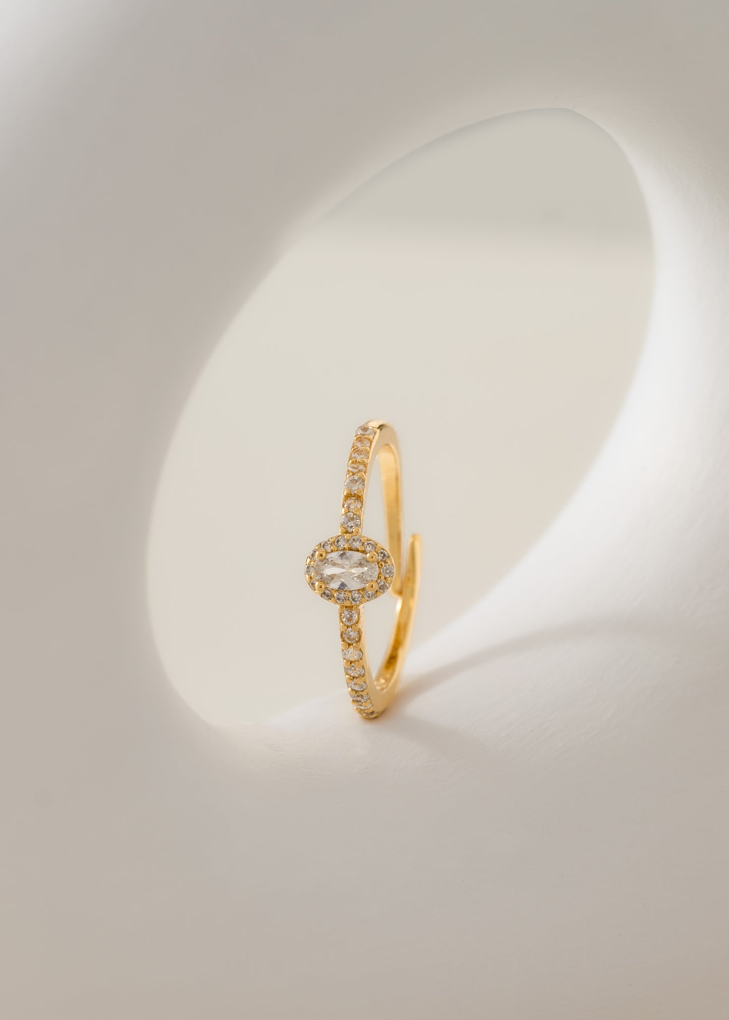 Anillo Dynasty