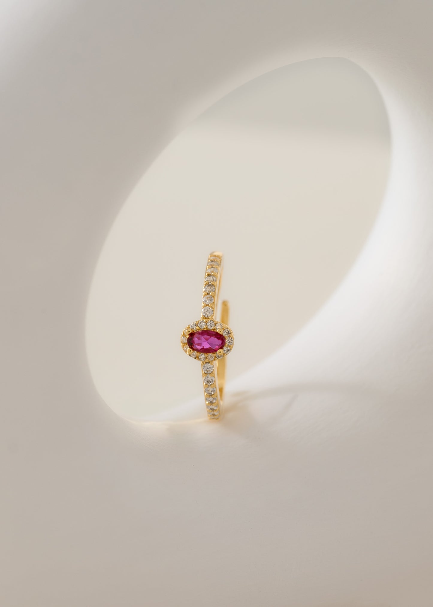 Anillo Dynasty