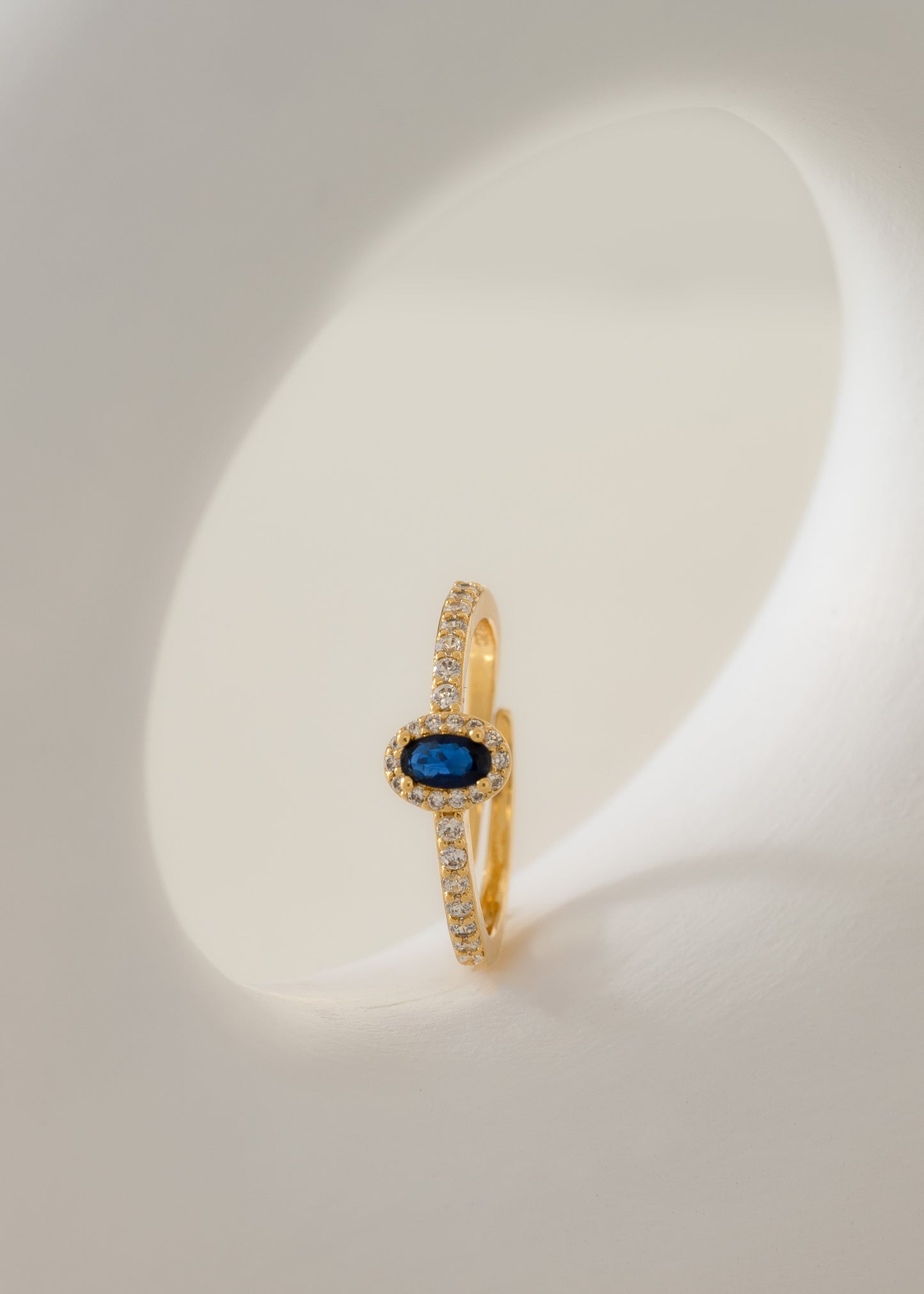 Anillo Dynasty