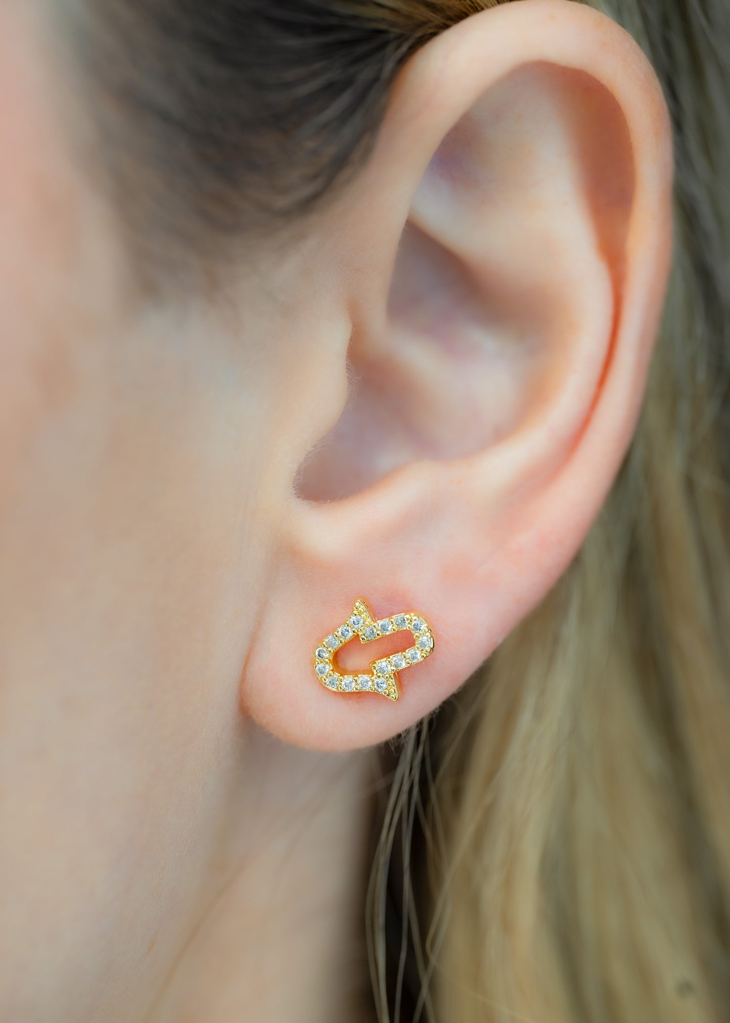 Arete Mano Hamsa