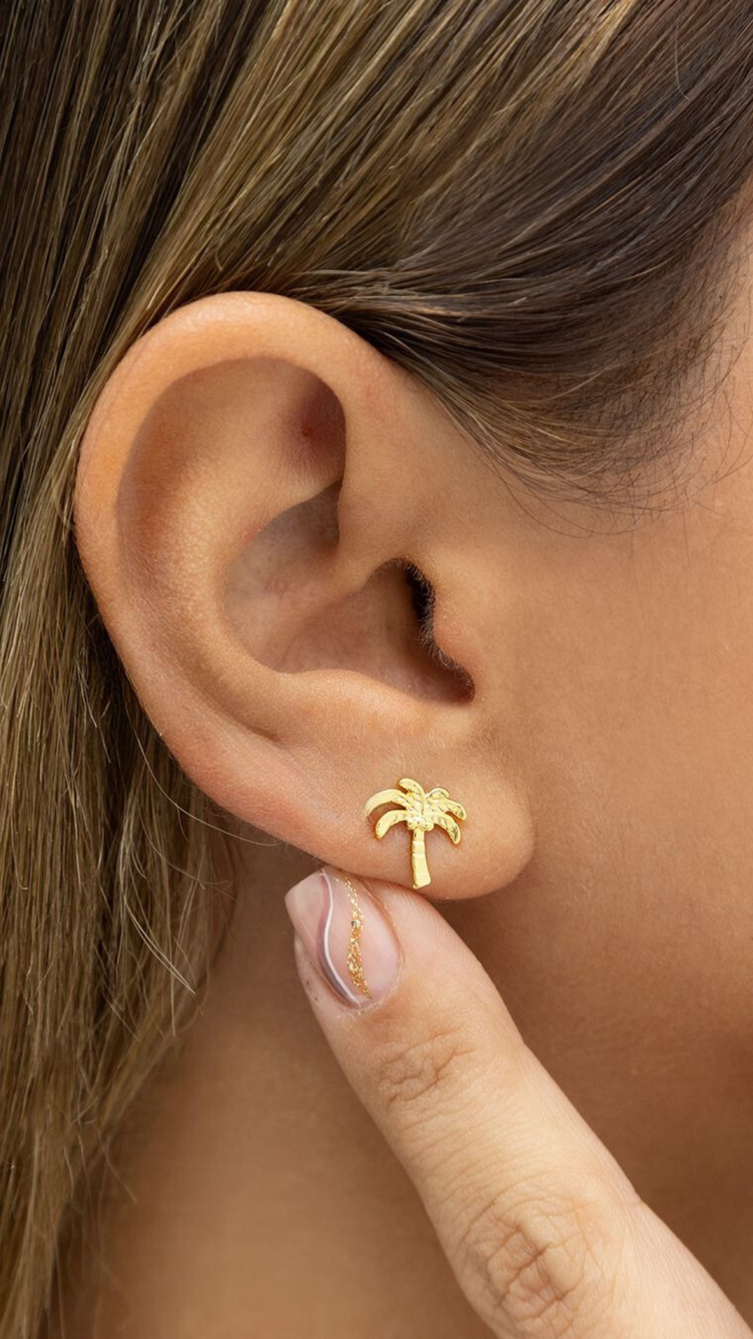 Arete Palmera