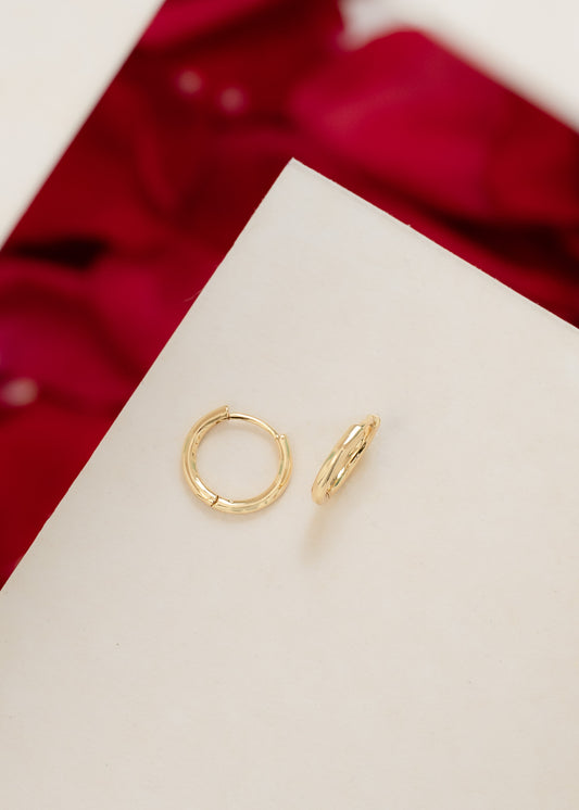 Candonga Boldy Pequeñas