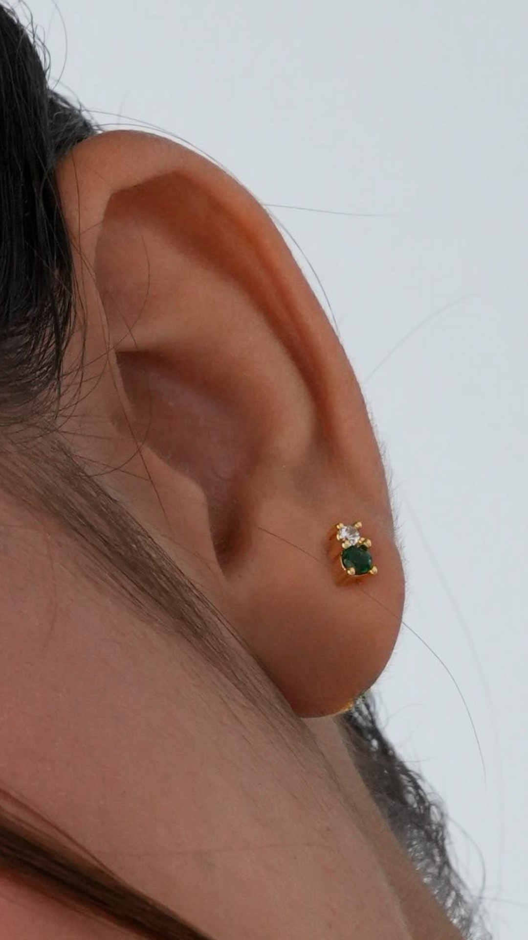 Arete Bicolor