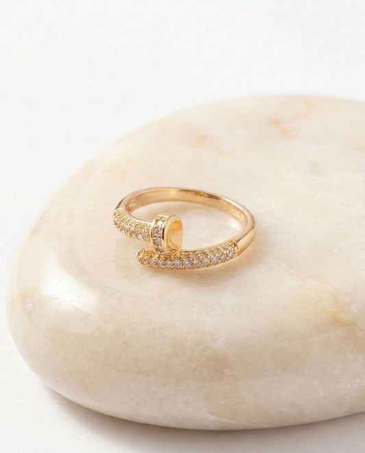 Anillo Clavo Circones | Premium