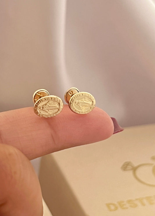 Topos Virgen Milagrosa | Rosca De Seguridad