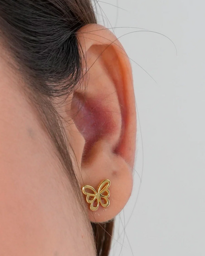 Arete Butterfly