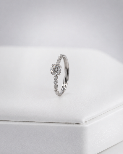 Anillo Shine Band MT
