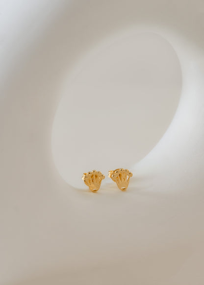 Arete Rolex