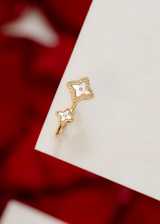 Anillo Double Lottus
