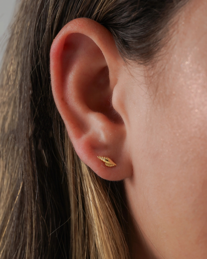 Arete Shell