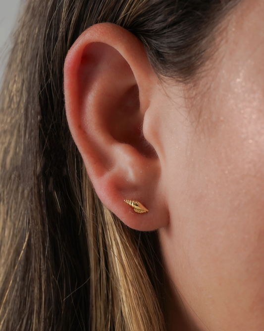 Arete Shell
