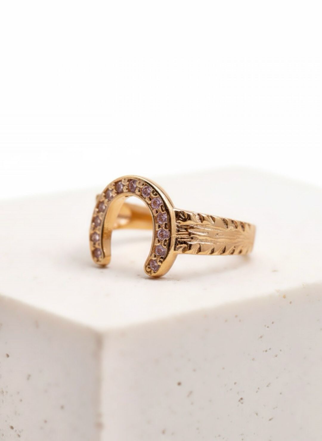 Anillo Herraje Caballo | Envío Gratis