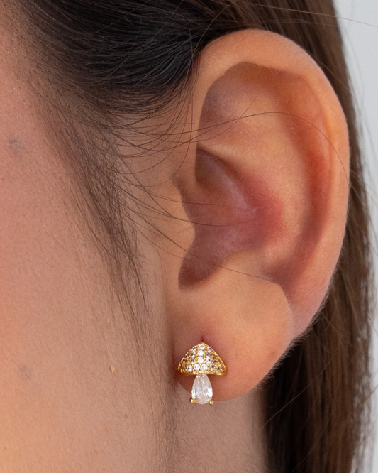 Arete Mushroom