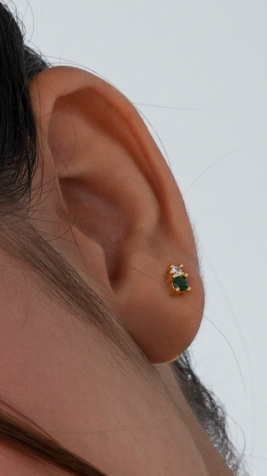 Arete Bicolor